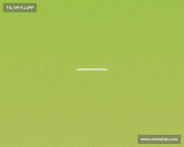 赛场背后的故事：本赛季篮球赛事的幕后英雄